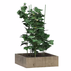 Supporti Piante da Giardino con 3 Anelli 5pz Verde 75cm Acciaiocod mxl 127804 - Vista aggiuntiva 3