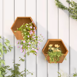 Queste fioriere da parete sono ideali per gli appassionati del fai da te che desiderano decorare il proprio giardino, balcone ...