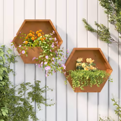 Queste fioriere da parete sono ideali per gli appassionati del fai da te che desiderano decorare il proprio giardino, balcone ...