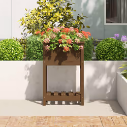 Fioriera con Mensola Miele 54x34,5x81cm Legno Massello di Pinocod mxl 105576 - Vista aggiuntiva 3