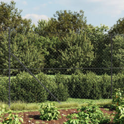 Recinzione a Rete Antracite 2x10 m Vidaxl 5330