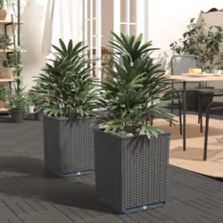 Queste fioriere sono ideali per gli appassionati del fai da te che desiderano decorare il proprio giardino, balcone o patio.  ...