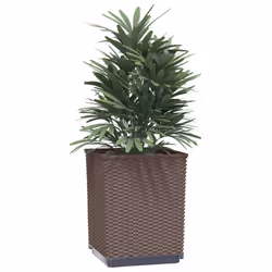 Fioriere 2 pz Marroni 30x30x37 cm in Polipropilenecod mxl 127020 - Vista aggiuntiva 3