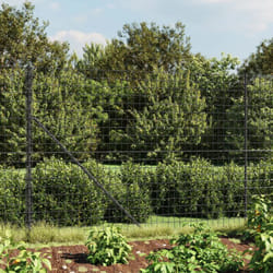 Vidaxl - Recinzione Metallica con Flangia Antracite 2x25 m 7361