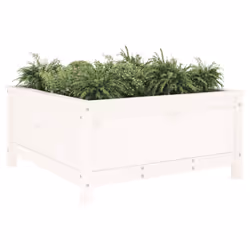Fioriera da Giardino Bianca 82,5x82,5x39cm Legno Massello Pinocod mxl 127764 - Vista aggiuntiva 3