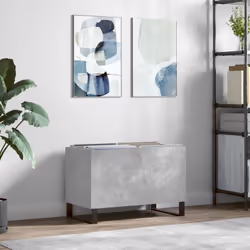 Riponete ed esponete i vostri dischi in vinile con questo mobile porta dischi pratico e classico. Materiale resistente: Il le ...