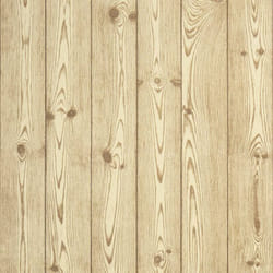 Carta da Parati 3D Motivo Legno Marrone 10x0,53 m Non Tessuto vidaXL