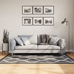 Create un'atmosfera calda nella vostra casa con questo tappeto distintivo! È la scelta perfetta per decorare la vostra stanza ...