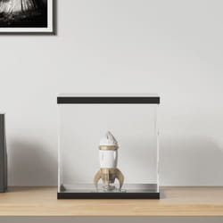 Furniture Limited - Scatola Espositiva Trasparente 30x30x30 cm in