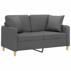 Divano a 2 Posti con Cuscini Grigio Scuro 120 cm in Tessutocod mxl 87882 - Vista aggiuntiva 3