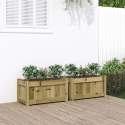 Vidaxl - Fioriere da Giardino 2 pz in Legno di Pino Impregnato