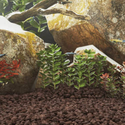 Vidaxl - Rocce Vulcaniche 10 kg Rosse 5-8 cm 52124