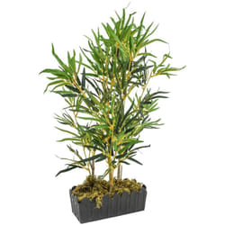 Vidaxl - Albero Bambù Artificiale 368 Foglie 80 cm Verde