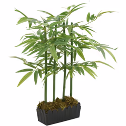 Questo albero di bambù artificiale sarà una scelta perfetta per abbellire il vostro ingresso, soggiorno o ufficio. Aspetto re ...