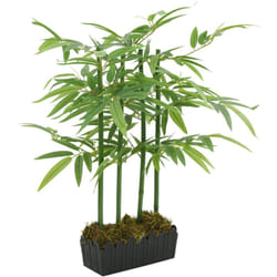 Vidaxl - Albero Bambù Artificiale 240 Foglie 80 cm Verde