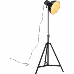 Questa lampada da terra mette decisamente in risalto il soggiorno, la sala da pranzo, l'ufficio, e così via. Materiale resist ...