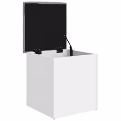 VidaXL 835033 panchina da interno - Vista aggiuntiva 4