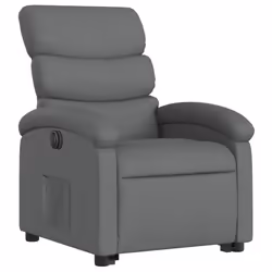 VidaXL 3203979 poltrona
