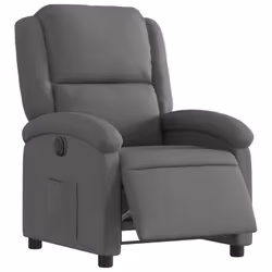 VidaXL 3204141 poltrona