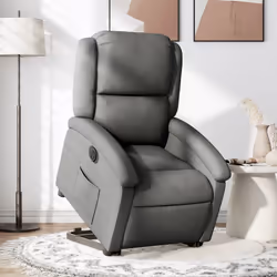 VidaXL 3204165 poltrona