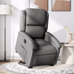 VidaXL 3204189 poltrona