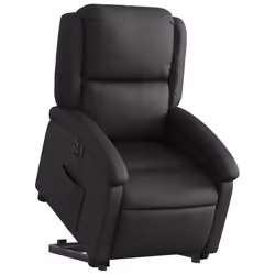 VidaXL 3204262 poltrona
