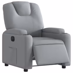 VidaXL 3204344 poltrona