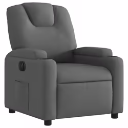 VidaXL 3204345 poltrona