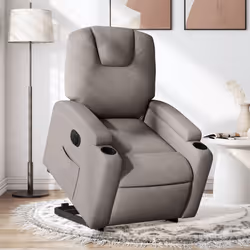 VidaXL 3204412 poltrona