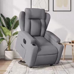 VidaXL 3204506 poltrona