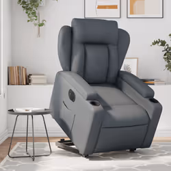 VidaXL 3204561 poltrona