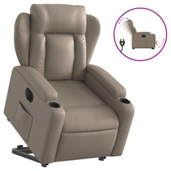 VidaXL 3204564 poltrona