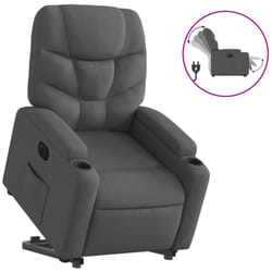 VidaXL 3204621 poltrona
