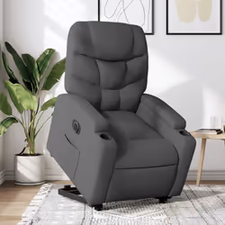 VidaXL 3204621 poltrona