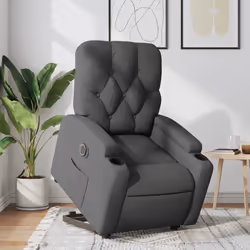 VidaXL 3204735 poltrona