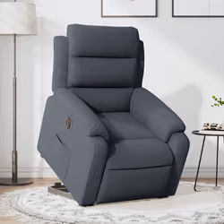 VidaXL 3205115 poltrona