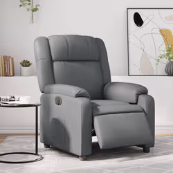 VidaXL 3205139 poltrona