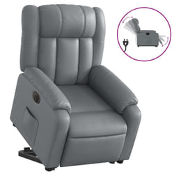 VidaXL 3205267 poltrona