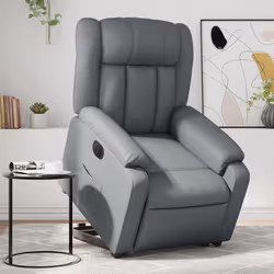 VidaXL 3205281 poltrona