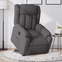 VidaXL 3205317 poltrona