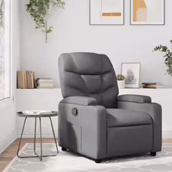VidaXL 372468 poltrona