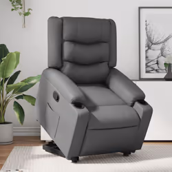 VidaXL 3206554 poltrona