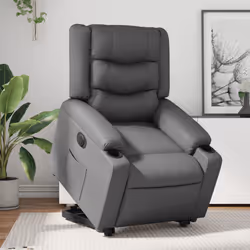 VidaXL 3206562 poltrona