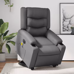 VidaXL 3206566 poltrona