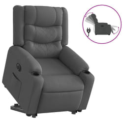 VidaXL 3206580 poltrona