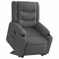 VidaXL 3206580 poltrona