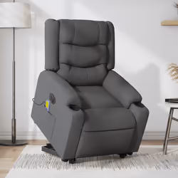 VidaXL 3206583 poltrona