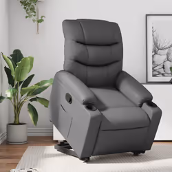 VidaXL 3206602 poltrona