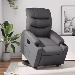 VidaXL 3206616 poltrona