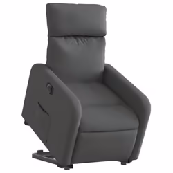 VidaXL 3206718 poltrona
